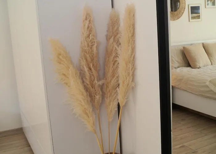 Deep Blue - * هيل